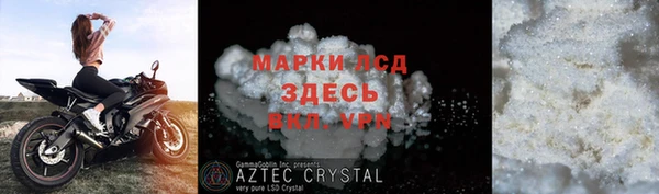 PSILOCYBIN Алзамай