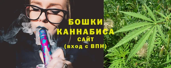 PSILOCYBIN Алзамай