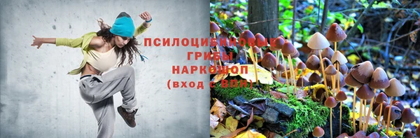 apvp Алексеевка